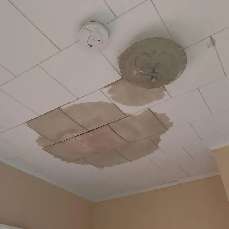 Ceiling Water Damage Repair in Lycoming County, PA