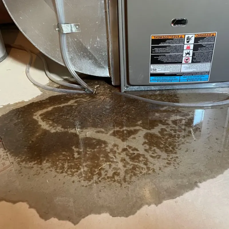 Pipe Burst and Leak Restoration in Lycoming County, PA