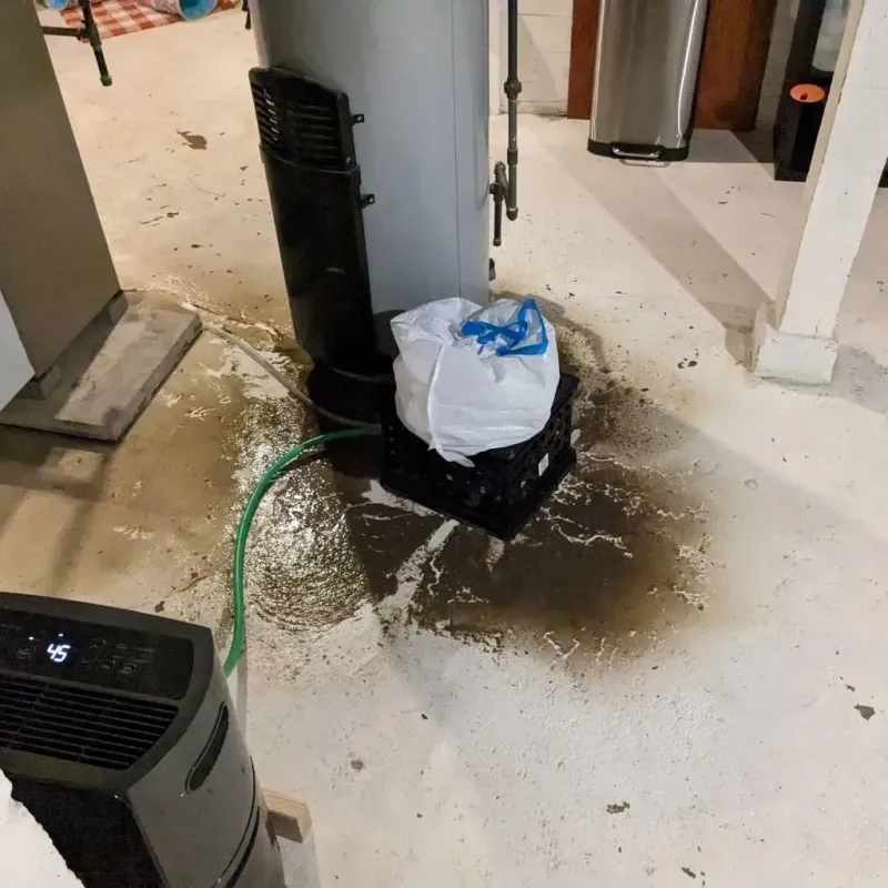 Sewage Backup Cleanup Service in Lycoming County, PA
